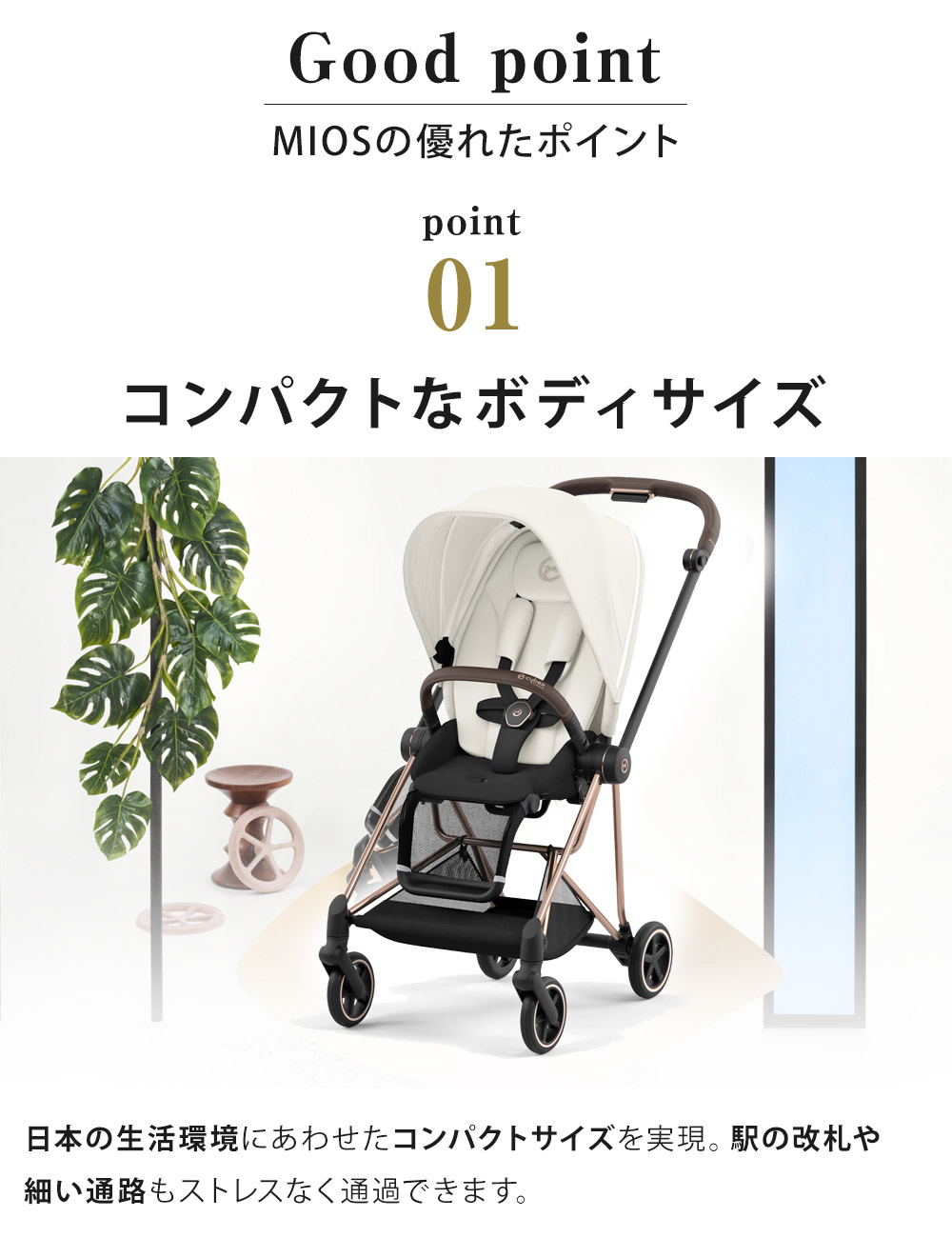 楽天市場】サイベックス ミオス JP3 ローズ ゴールド フレーム フル